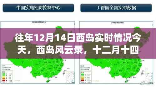 西岛风云录,十二月十四日的记忆回溯与实时情况回顾