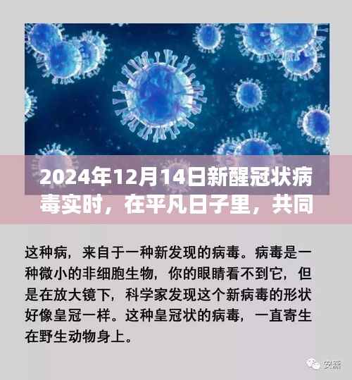 新醒冠状病毒实时更新，平凡日子里的共同期待与温馨故事