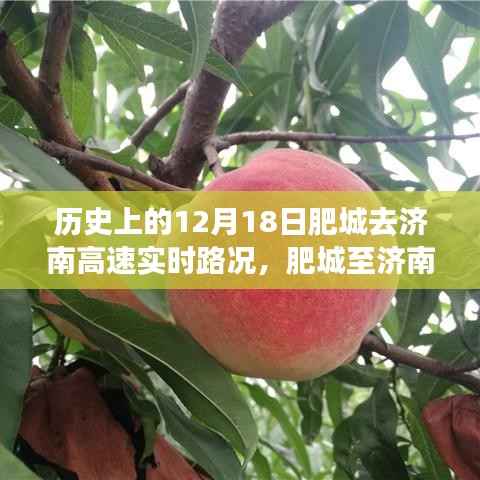 历史上的肥城至济南高速实时路况播报,揭秘十二月十八日的交通变迁