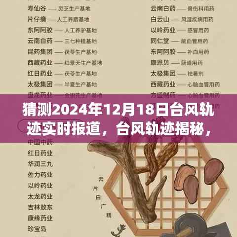 揭秘台风轨迹,风云变幻预测与回顾,2024年台风实时报道及影响分析
