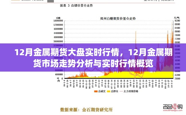 12月金属期货市场走势分析与实时行情概览