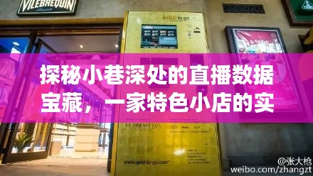 探秘小巷深处的直播数据宝藏,特色小店的实时数据之旅揭秘