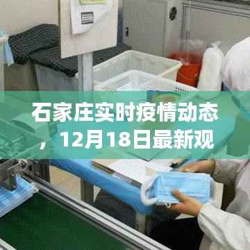 石家庄实时疫情动态更新,12月18日最新观察报告