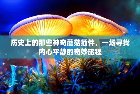 神奇蘑菇插件的历史之旅,寻找内心平静的奇妙探险