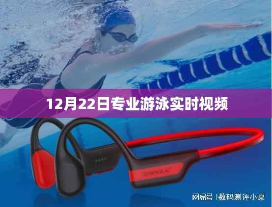 专业游泳实时视频直播,12月22日精彩呈现