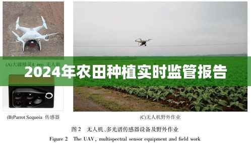 农田种植监管报告,实时监管数据解析,助力农业可持续发展