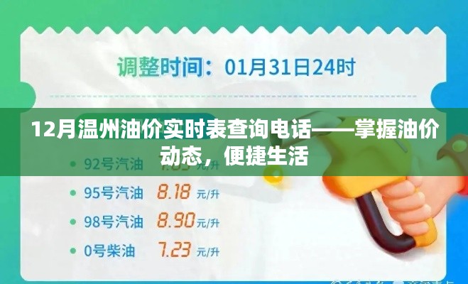 温州油价实时查询电话,轻松掌握油价动态