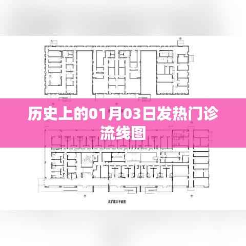 历史发热门诊流线图,揭秘一月三日数据变迁