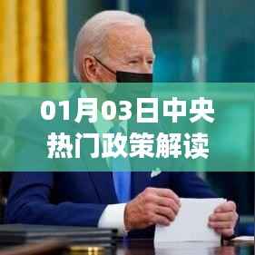 中央热门政策解读,最新动态与深度剖析(日期,01月03日)