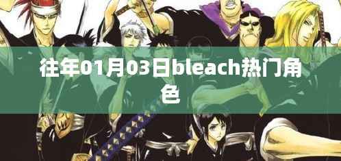 Bleach热门角色盘点,历年人气角色回顾