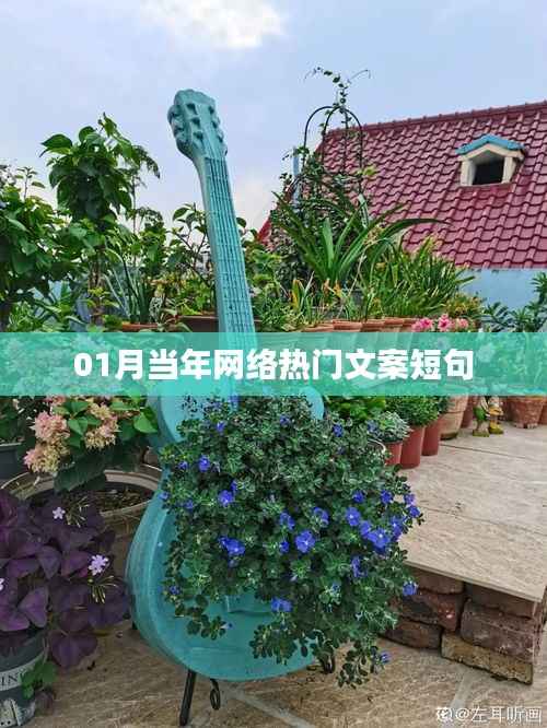 精选热门网络文案短句,一月回顾