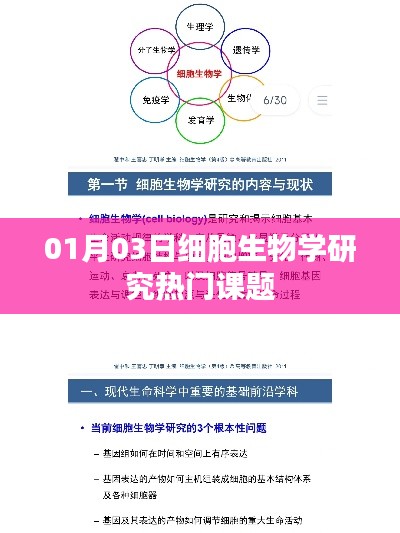 细胞生物学热门研究课题解析