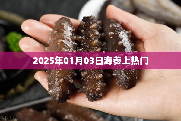 海参热潮,揭秘背后的故事,探寻美食新趋势