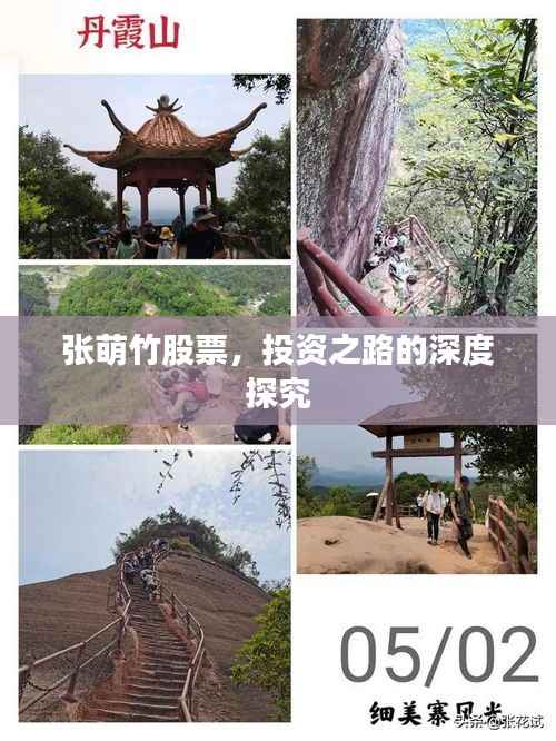 张萌竹股票,投资之路的深度探究