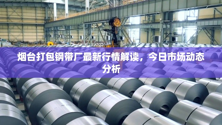 烟台打包钢带厂最新行情解读,今日市场动态分析