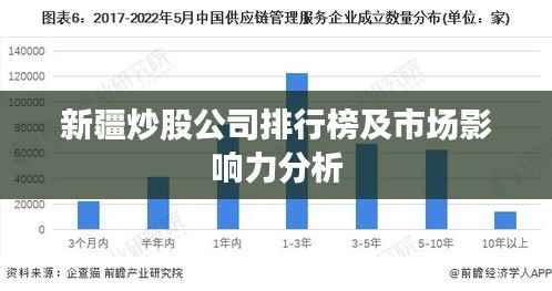 新疆炒股公司排行榜及市场影响力分析