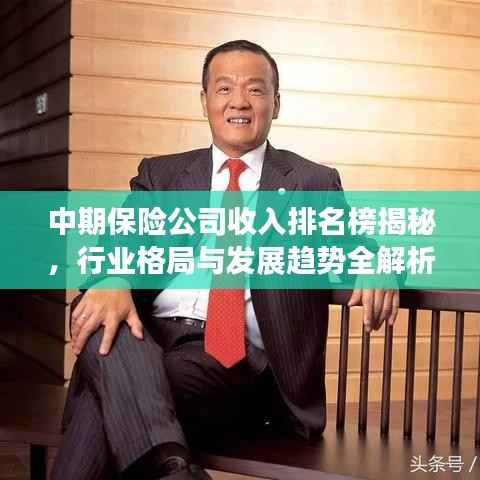 中期保险公司收入排名榜揭秘,行业格局与发展趋势全解析