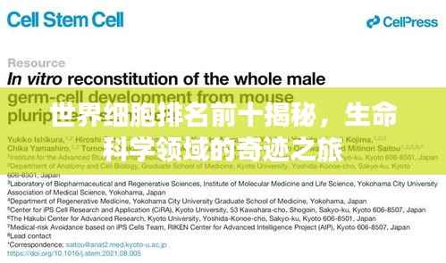 世界细胞排名前十揭秘,生命科学领域的奇迹之旅