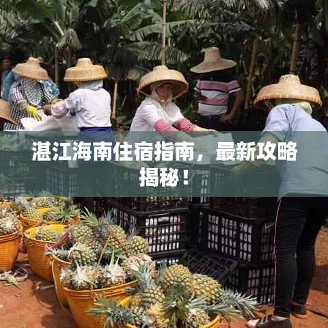 草间求活 第2页