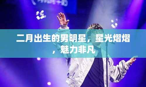 二月出生的男明星,星光熠熠,魅力非凡
