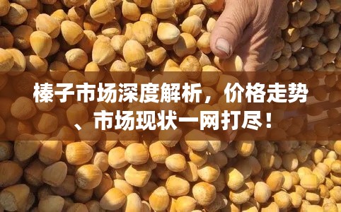 榛子市场深度解析,价格走势、市场现状一网打尽!