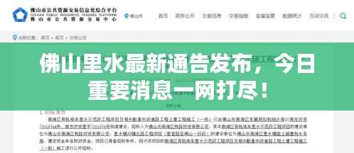 佛山里水最新通告发布,今日重要消息一网打尽!