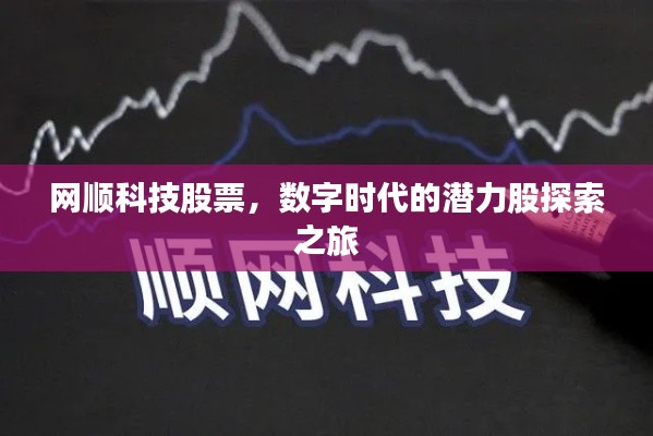 网顺科技股票，数字时代的潜力股探索之旅