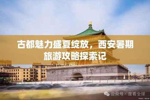 古都魅力盛夏绽放,西安暑期旅游攻略探索记