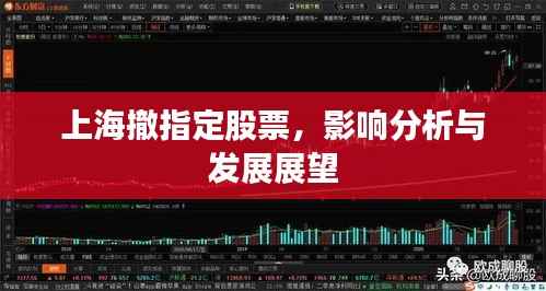 上海撤指定股票,影响分析与发展展望