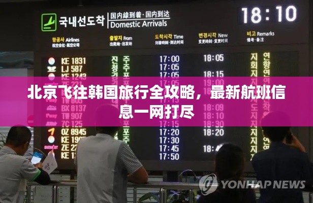 北京飞往韩国旅行全攻略,最新航班信息一网打尽