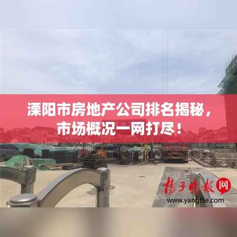 溧阳市房地产公司排名揭秘,市场概况一网打尽!