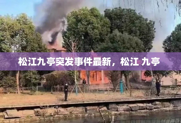 米念PARK仓储物流园 第141页