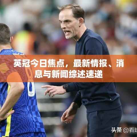 英冠今日焦点,最新情报、消息与新闻综述速递