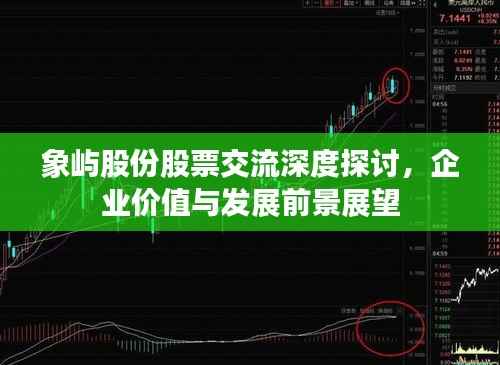 象屿股份股票交流深度探讨,企业价值与发展前景展望