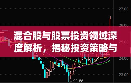 混合股与股票投资领域深度解析,揭秘投资策略与趋势