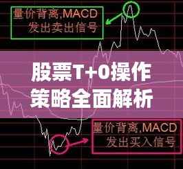 股票T+0操作策略全面解析
