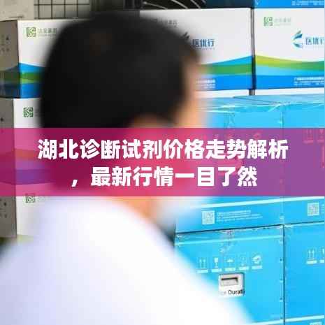 湖北诊断试剂价格走势解析,最新行情一目了然