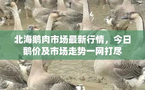 如翚斯飞 第2页