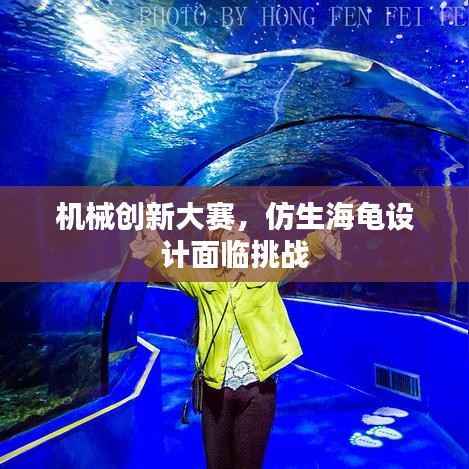 机械创新大赛,仿生海龟设计面临挑战