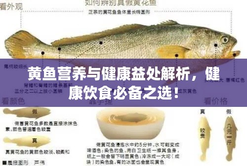 黄鱼营养与健康益处解析,健康饮食必备之选!