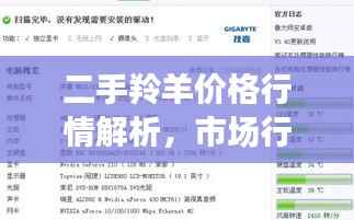 二手羚羊价格行情解析,市场行情与评估要素全知道