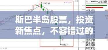 斯巴半岛股票，投资新焦点，不容错过的机遇