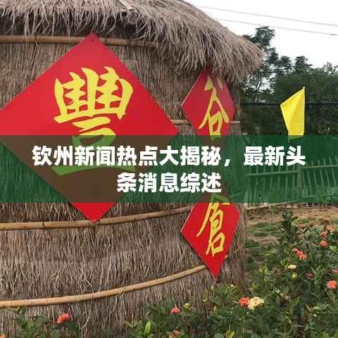 钦州新闻热点大揭秘,最新头条消息综述