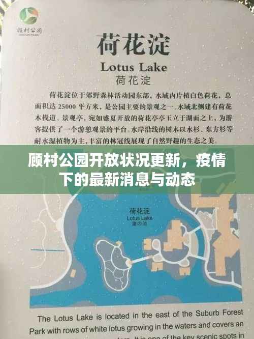 顾村公园开放状况更新,疫情下的最新消息与动态