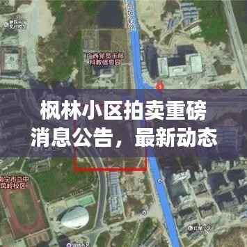 枫林小区拍卖重磅消息公告,最新动态一网打尽!