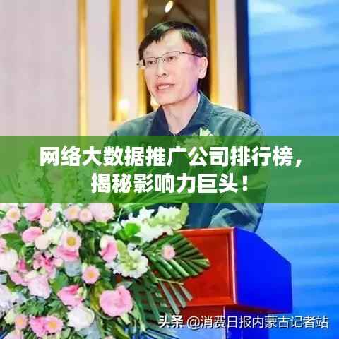 网络大数据推广公司排行榜，揭秘影响力巨头！