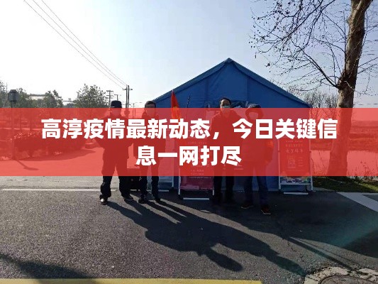 高淳疫情最新动态,今日关键信息一网打尽