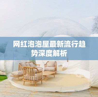 网红泡泡屋最新流行趋势深度解析