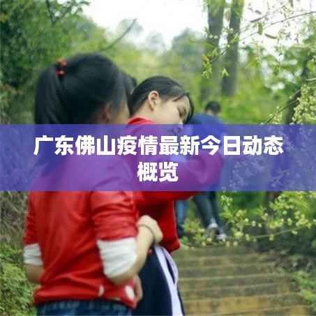 广东佛山疫情最新今日动态概览