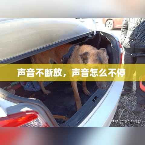 声音不断放,声音怎么不停